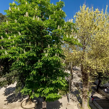 Pellegrini Luxury 4* Split