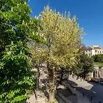 Affittacamere Pellegrini Luxury 4*